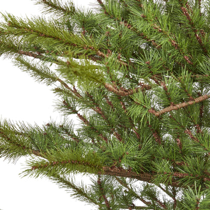 Unlit Open-Branch Pine-Style Christmas Tree, 7 ft - 2